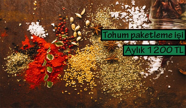 evde tohum paketleme işi 1 tohum