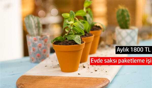 evde saksı paketleme işi 1 saksı