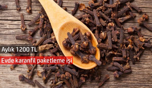 evde karanfil paketleme işi 1 karanfil