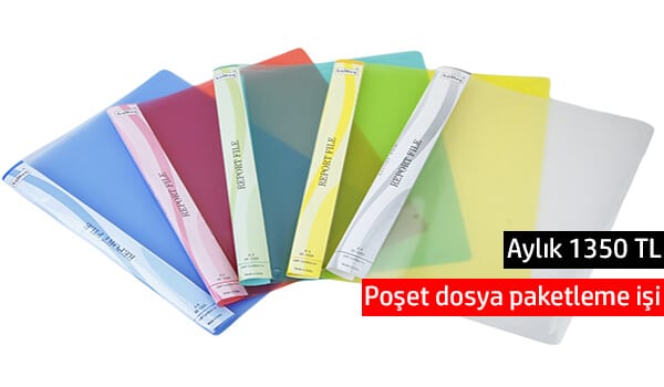 evde poşet dosya paketleme işi 1 poşet dosya