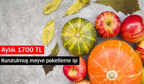 evde kurutulmuş meyve paketleme işi 1 kurutulmuş meyve