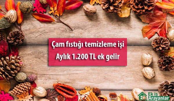 evde çam fıstığı temizleme paketleme işi 1 evde cam fistigi temizleme paketleme isi 2