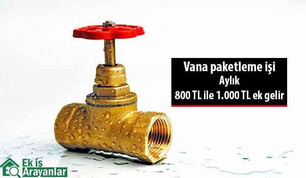 evde vana paketleme işi 1 evde vana paketleme isi 2