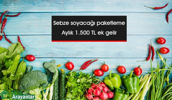 evde sebze soyacağı paketleme işi 1 sebze