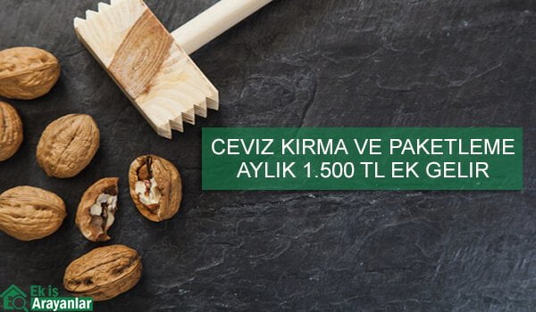 evde ceviz kırma ve paketleme işi 1 ceviz
