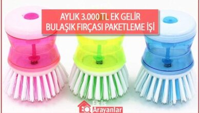 bulaşık fırçası