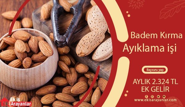 evde badem kırma ve ayıklama işi 1 badem