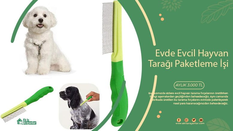 evde evcil hayvan tarama fırçası paketleme işi 1 evcil hayvan